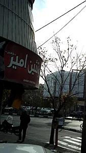 پروتئین امیر