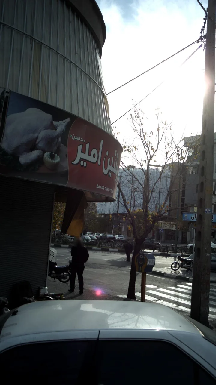 پروتئین امیر - تصویر 2