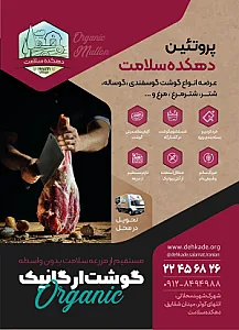 دهکده سلامت