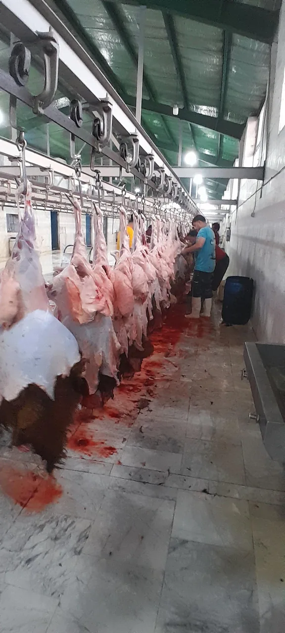 پخش گوشت آذربایجان