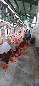پخش گوشت آذربایجان