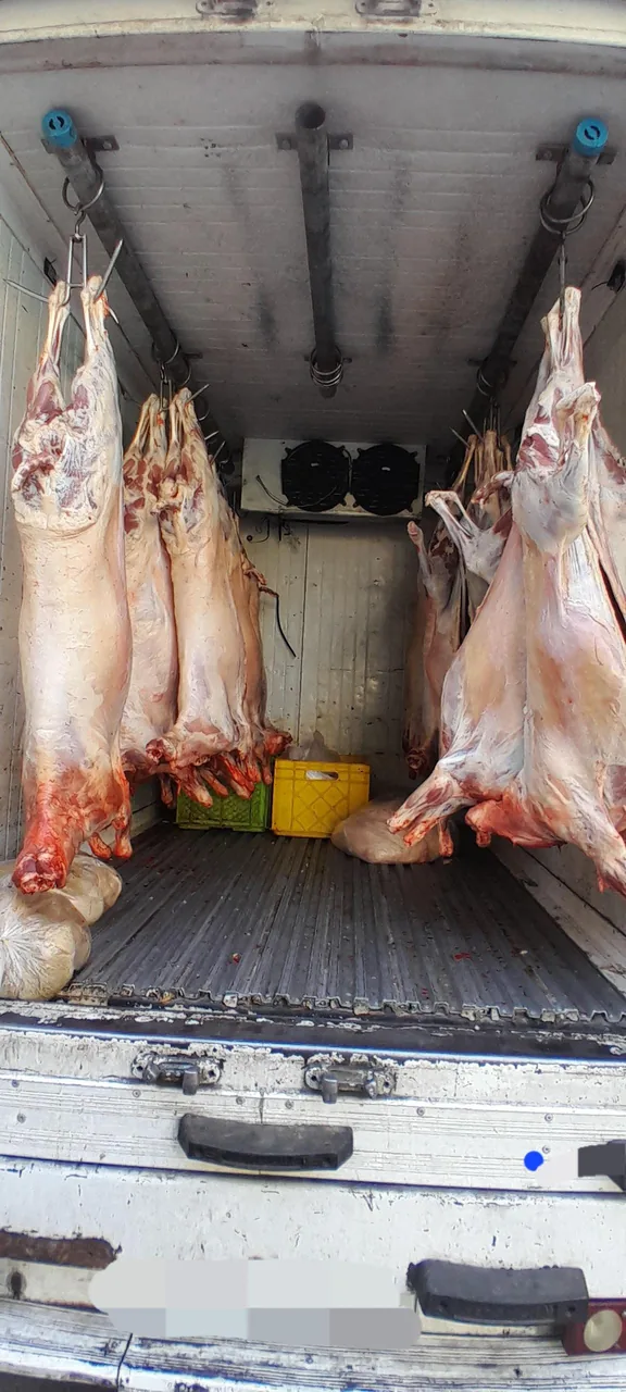 پخش گوشت آذربایجان - تصویر 3