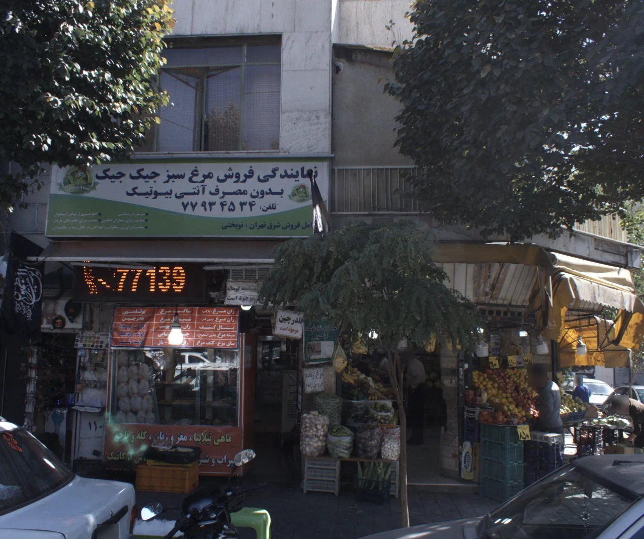 نمایندگی فروش مرغ سبز جیک جیک