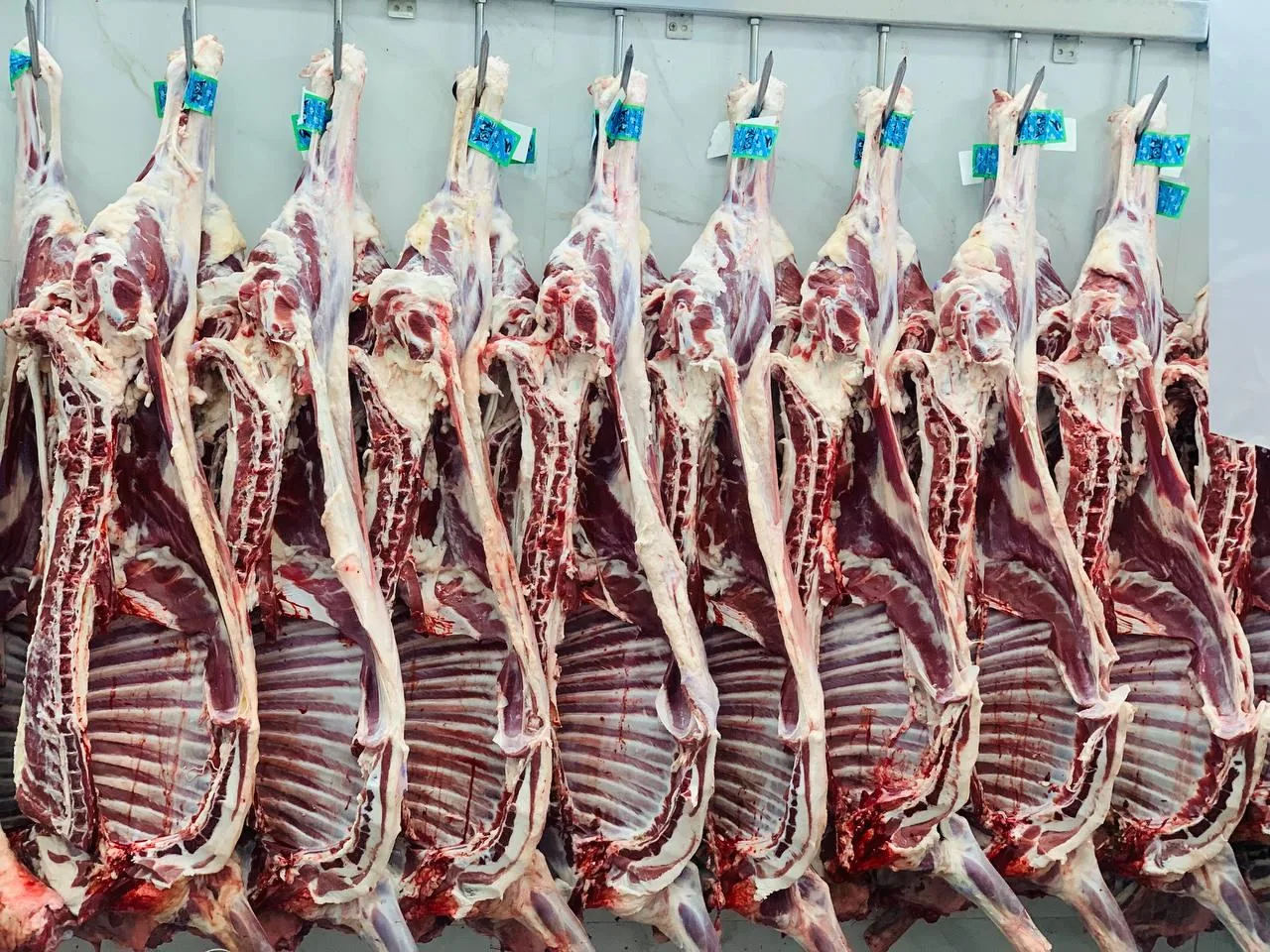پخش گوشت برادران صادقی