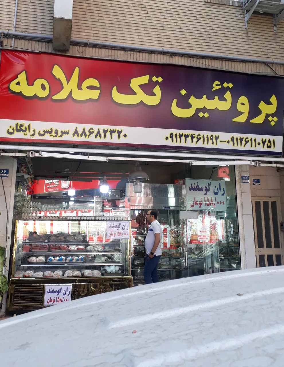 تک علامه