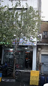 پروتئین دانشگاه