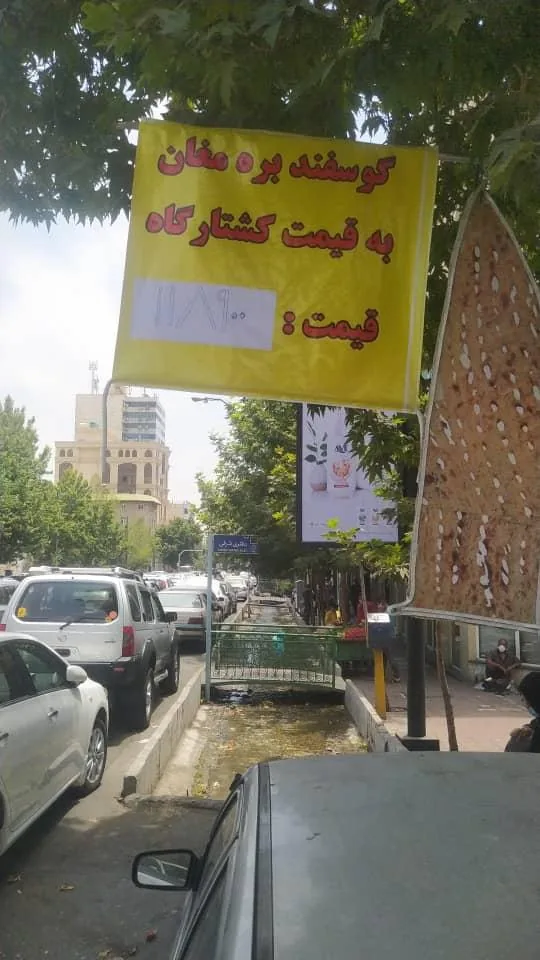 سوپرپروتئین سمین - تصویر 3