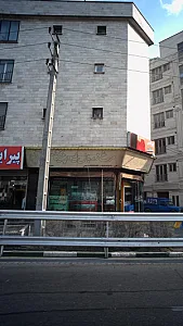 مرغ زربال طیور پیشگام