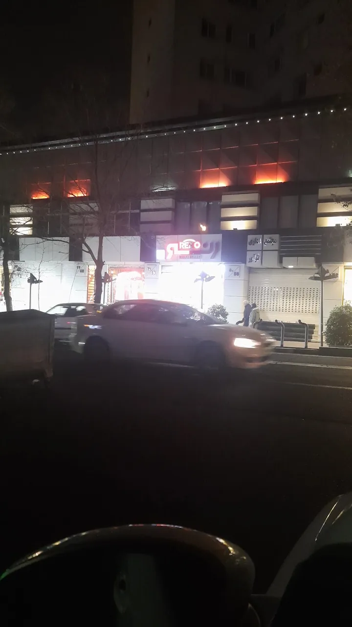 کیف و کفش رنو - تصویر 6
