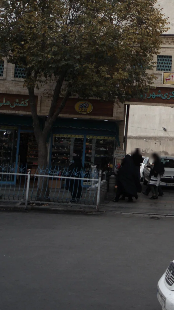 کفش ملی - تصویر 2