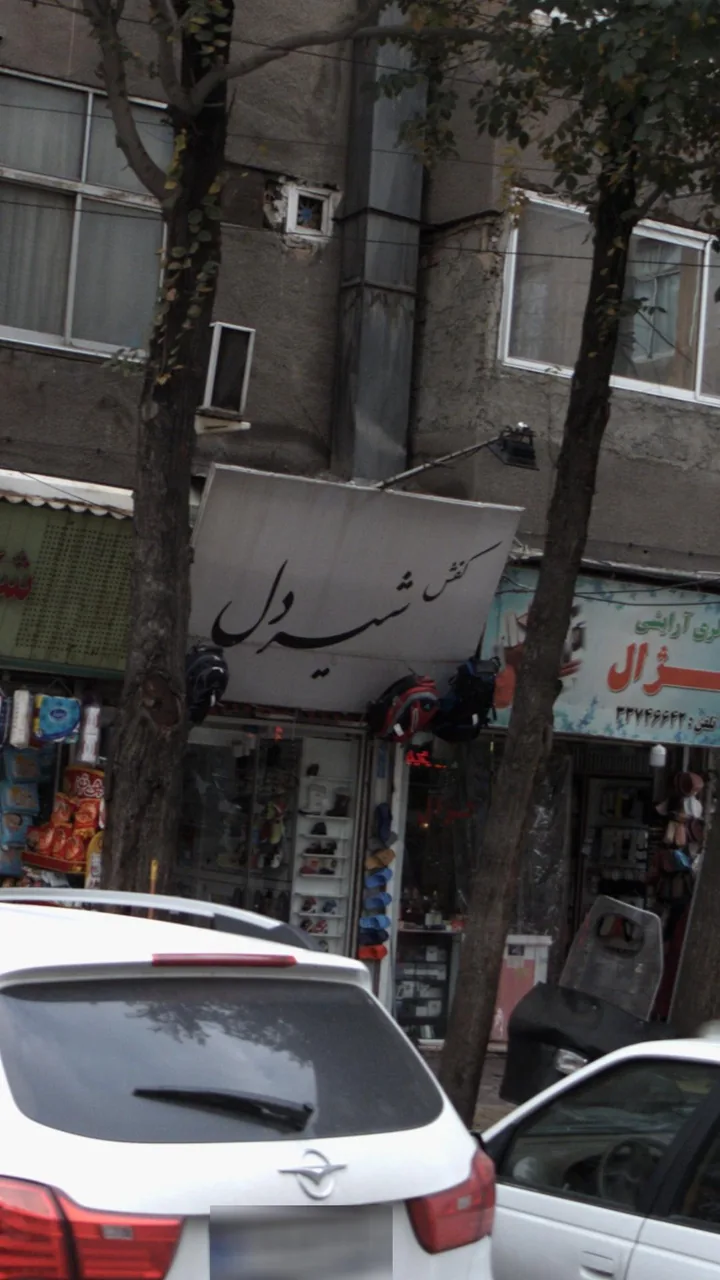 کفش شیردل - تصویر 3