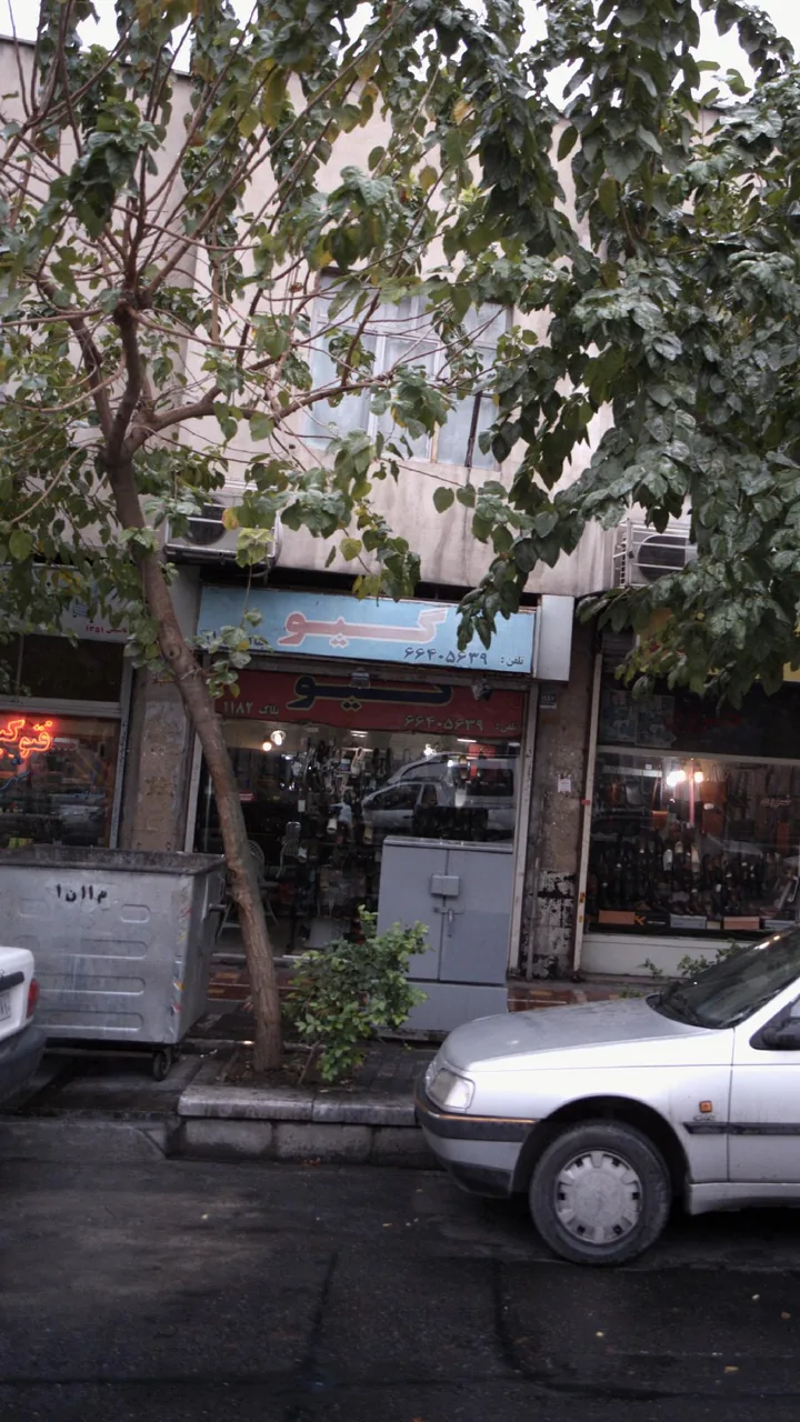 گیو