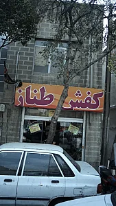 کفش طناز