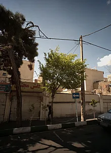 کفش مجتبی