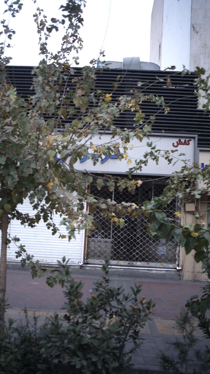 کفش فردوس