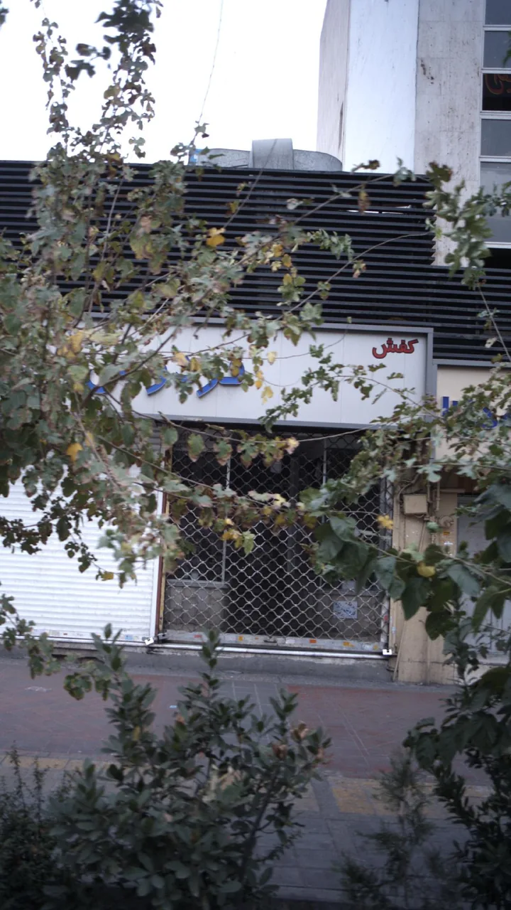 کفش فردوس - تصویر 2