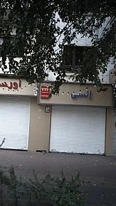 کفش انسی