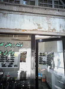 تولید و پخش کفش زیکو