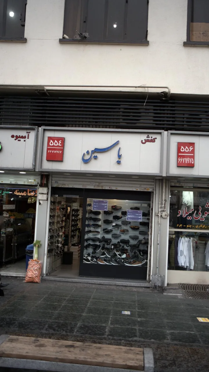 کفش یاسین - تصویر 2