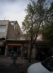 کفش فروشی پاسارگاد