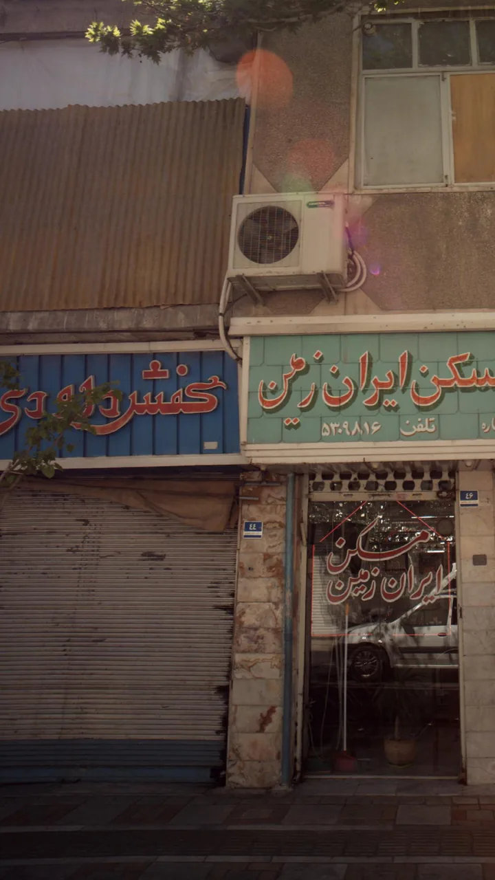 کفش داوری - تصویر 2