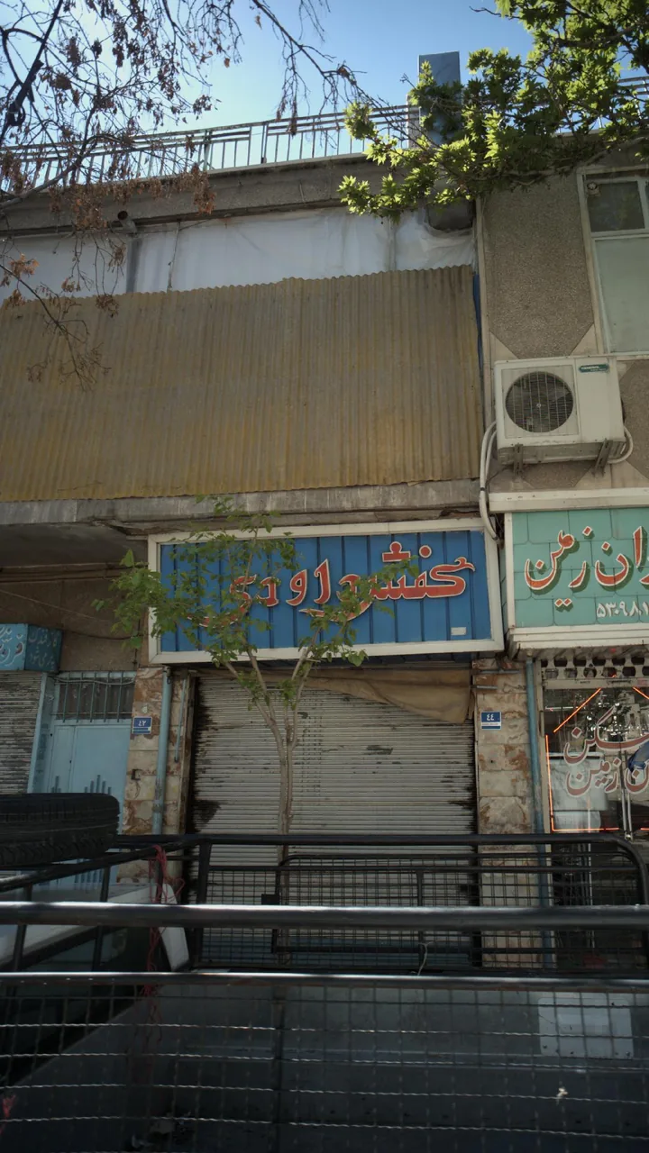 کفش داوری - تصویر 3