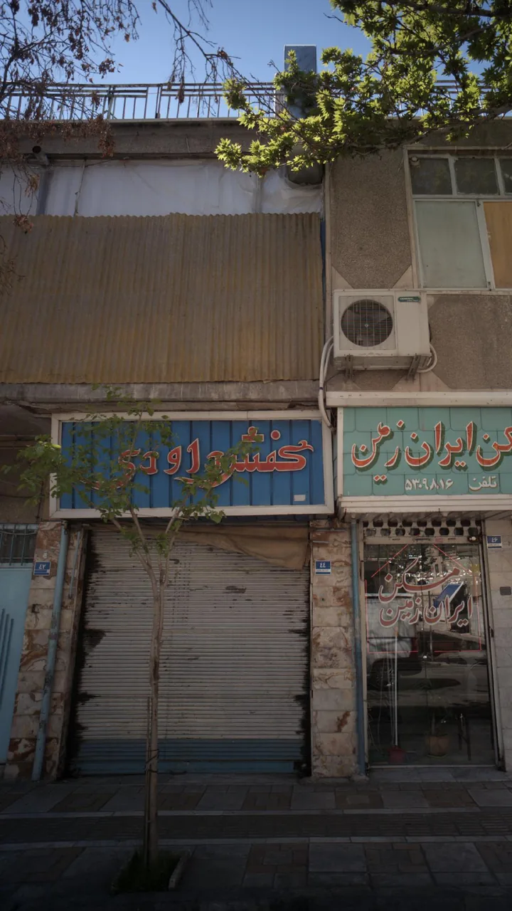 کفش داوری - تصویر 4