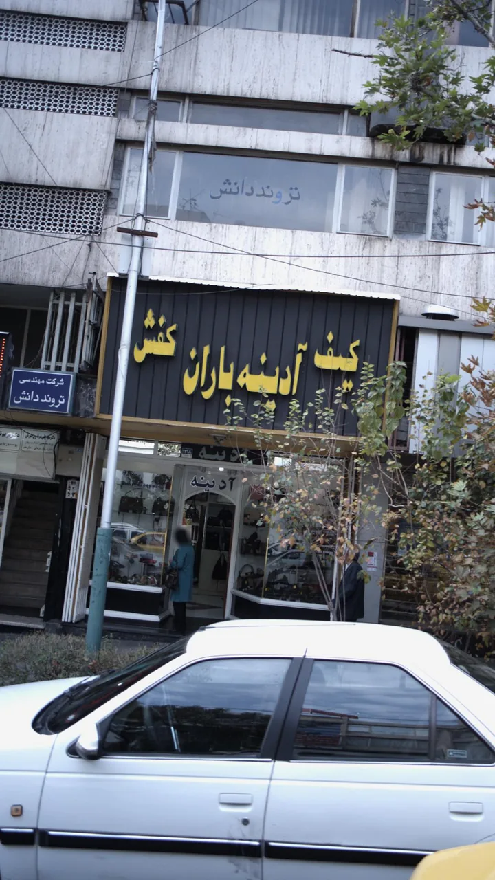 کیف و کفش آدینه باران - تصویر 2