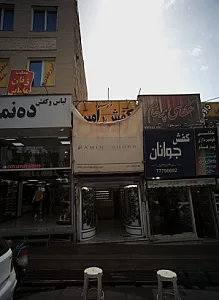 کفش رامین