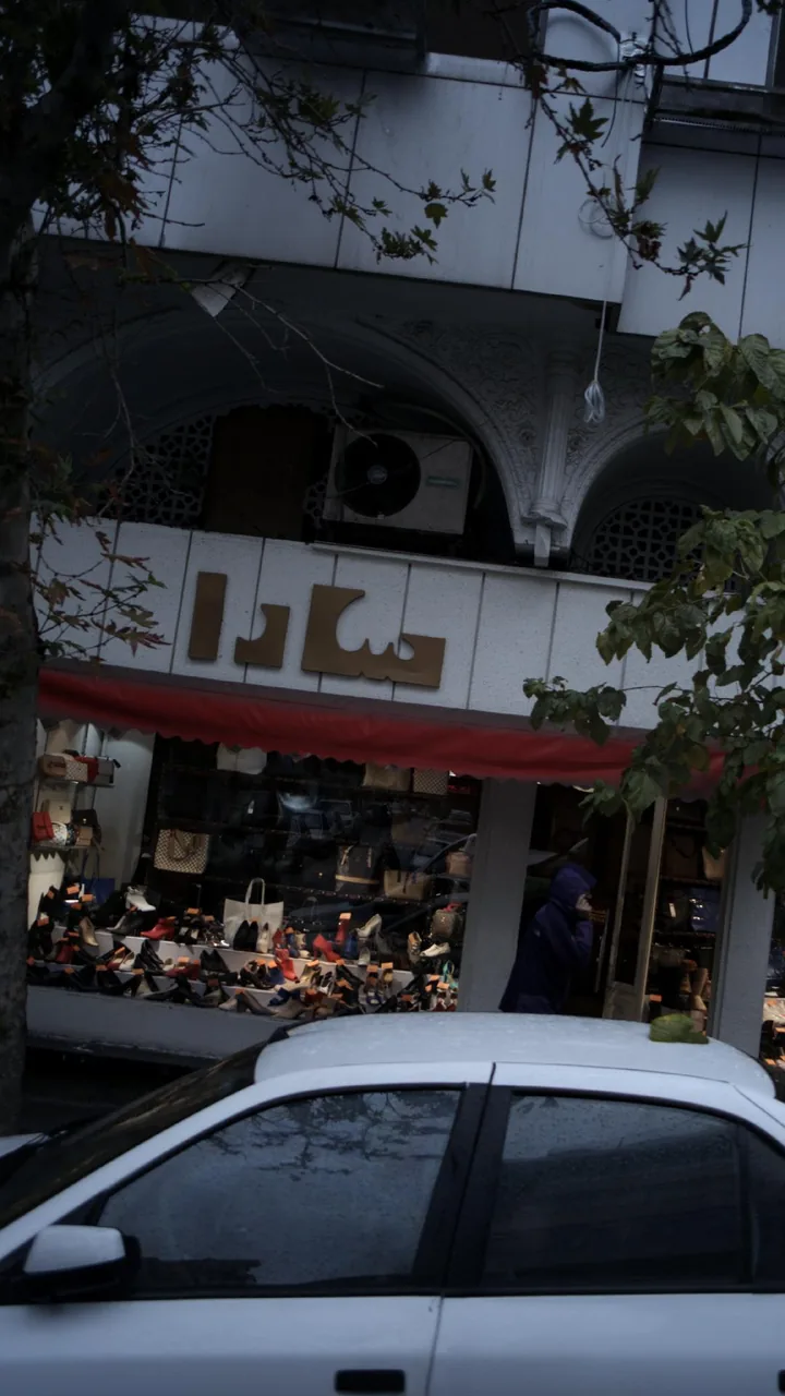 سارا