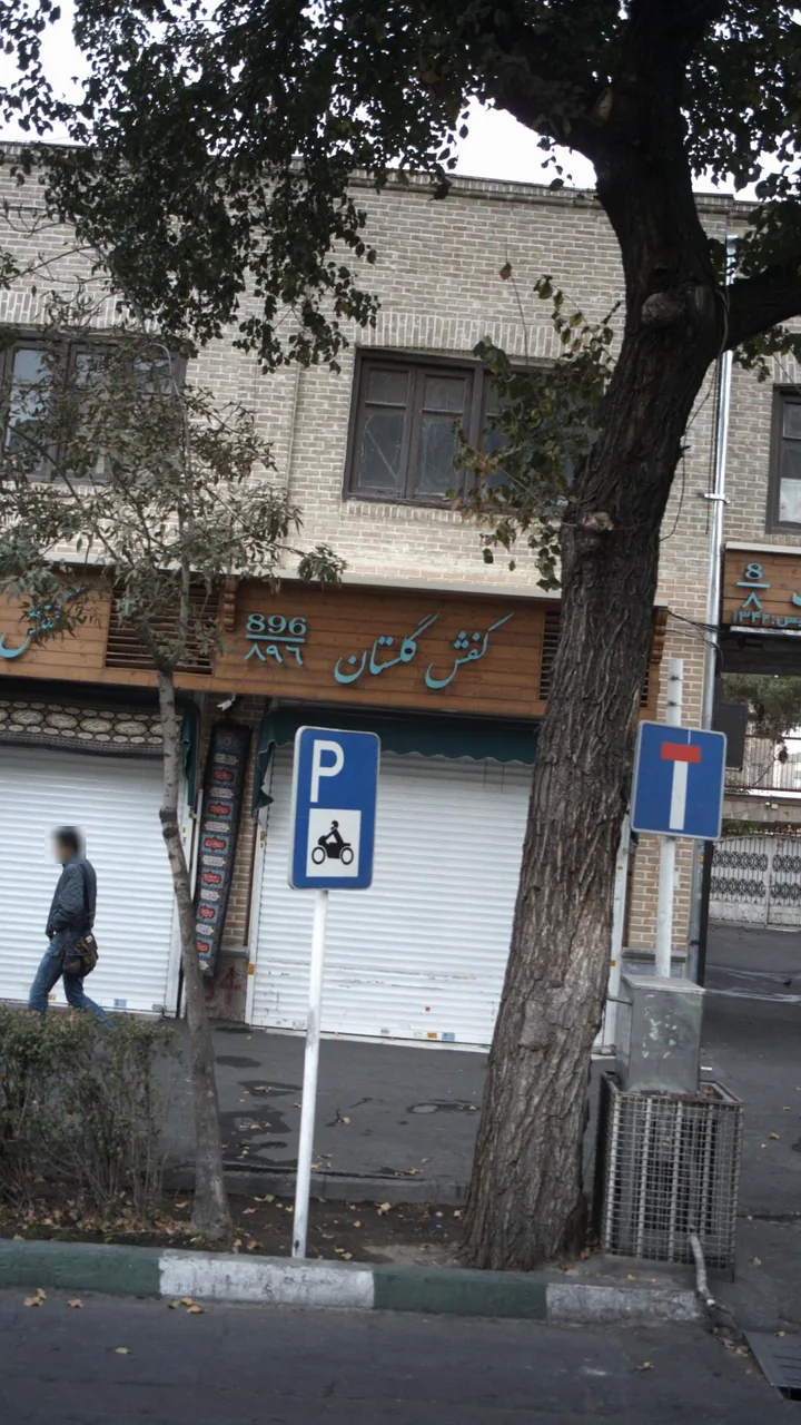 کفش گلستان