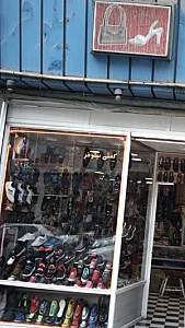 کفش نیلوفر