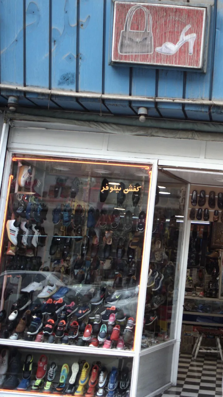 کفش نیلوفر