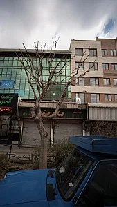 کیف و کفش پاریز