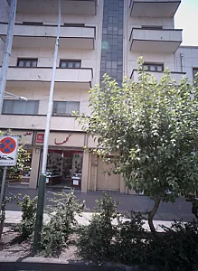کفش فروشی گلها