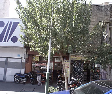 کفش مهدی
