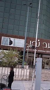 هاتیک