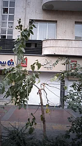 پاچیله