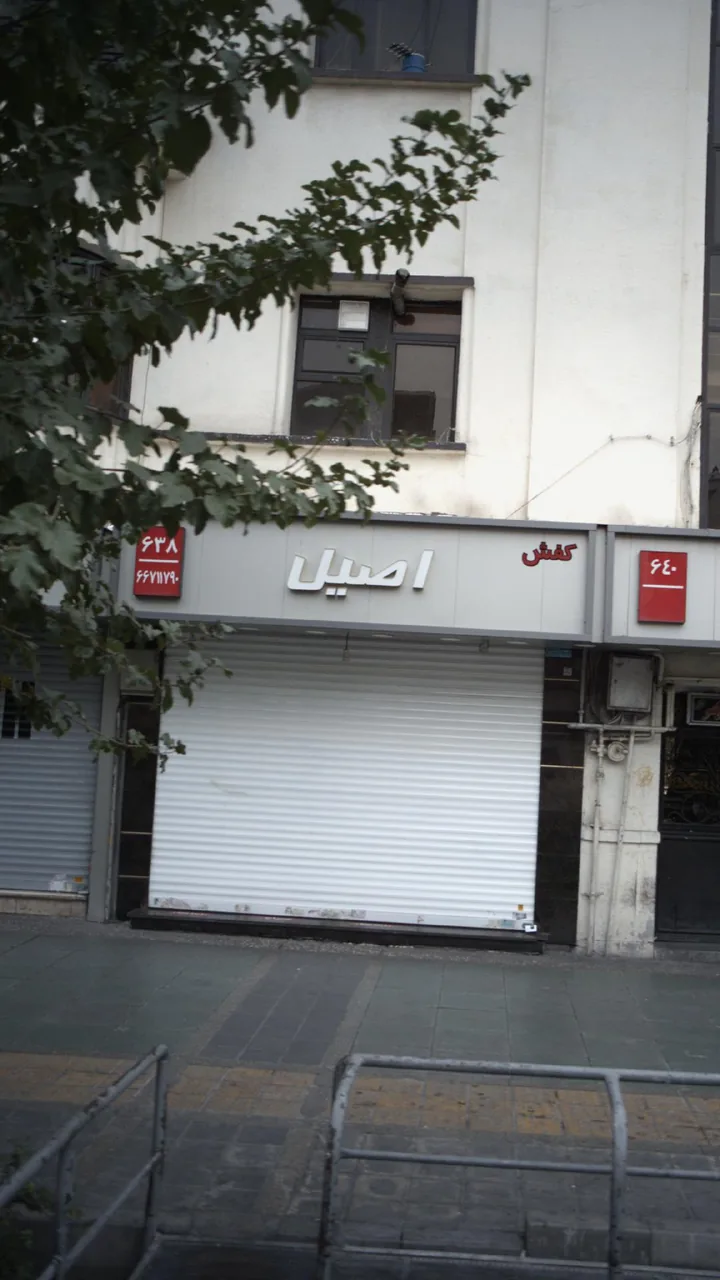 اصیل