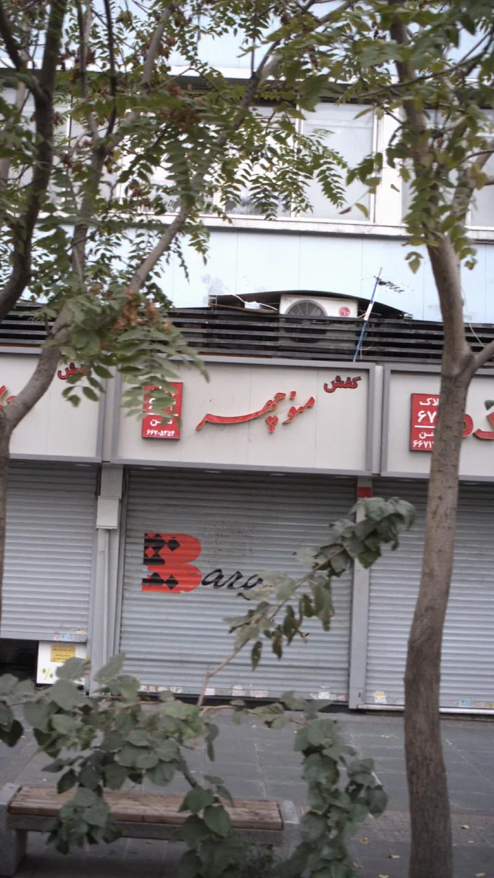 کفش منوچهر