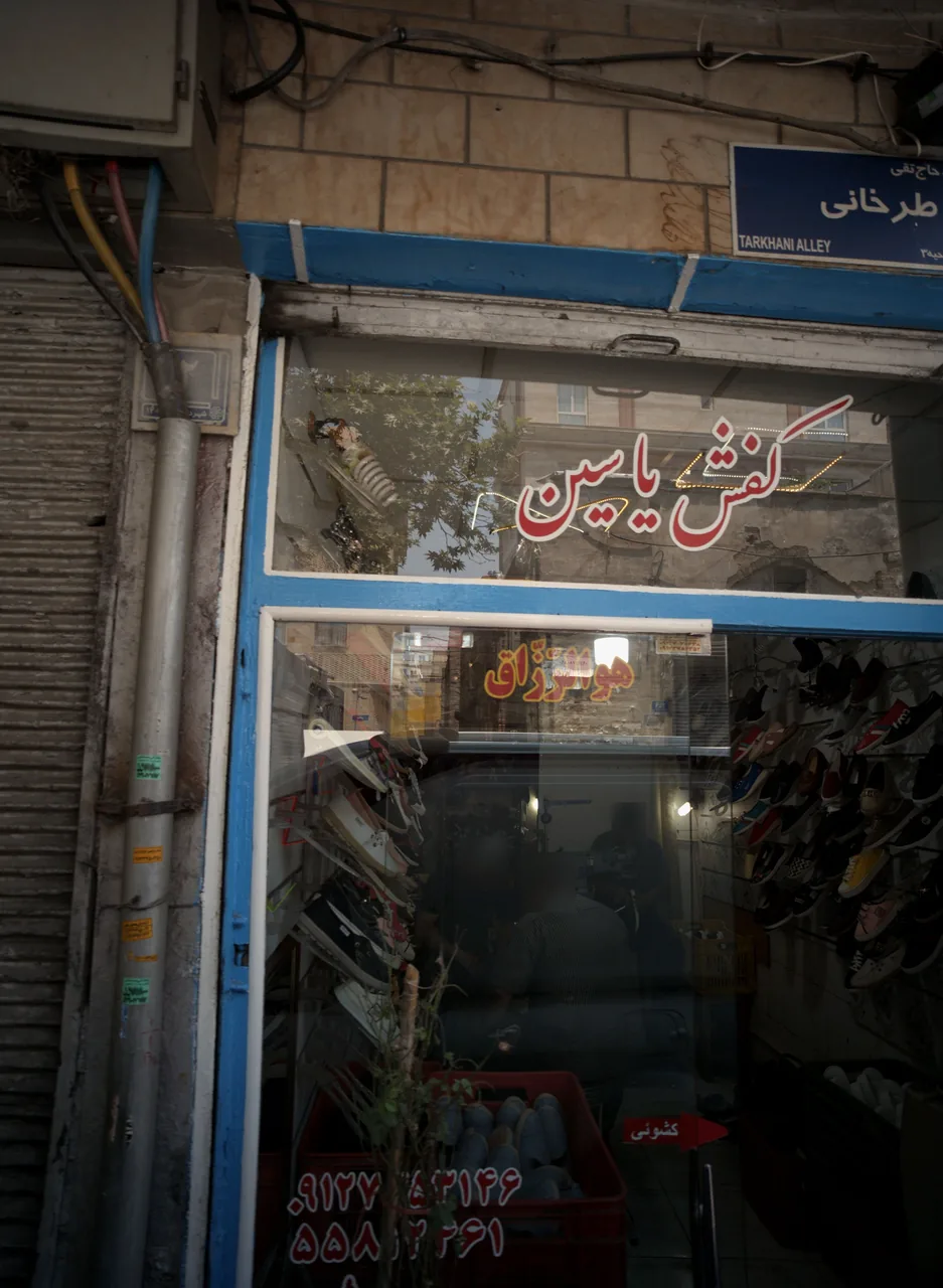 کفش یاسین