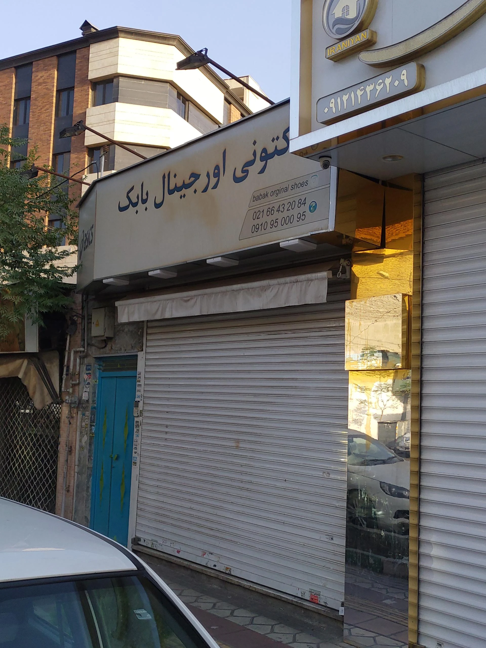 کفشدوزک - تصویر 2