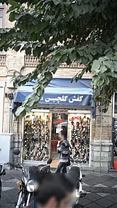 کفش گلچین