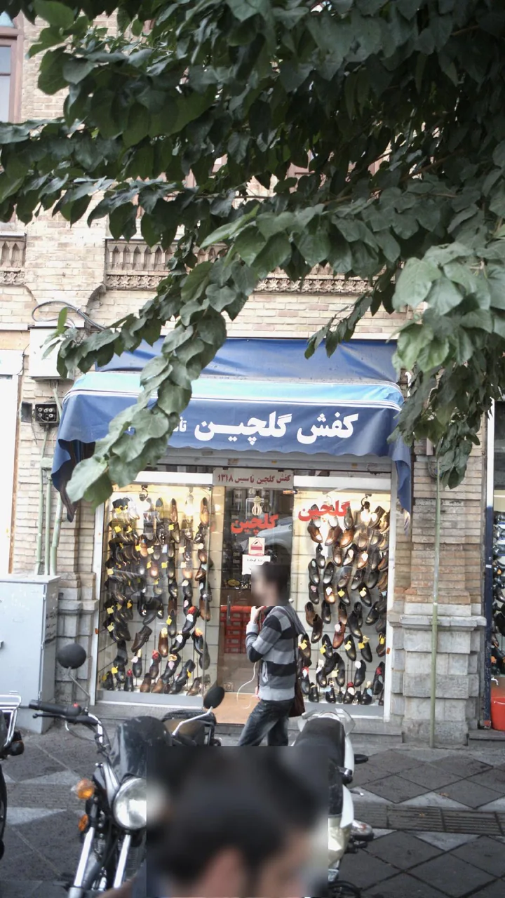 کفش گلچین