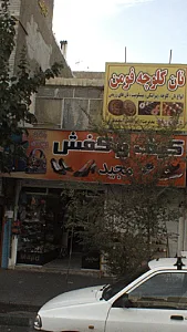 کیف و کفش مجید