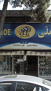 کفش ملی