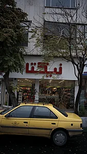 نیکتا