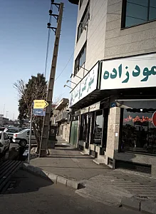 کفش محمودزاده