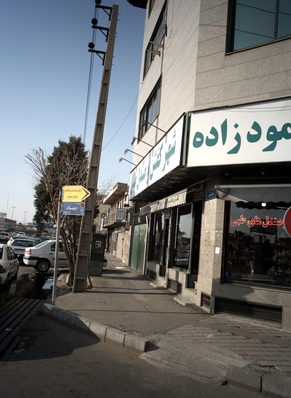 کفش محمودزاده