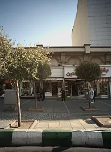 کفش پدرسالار